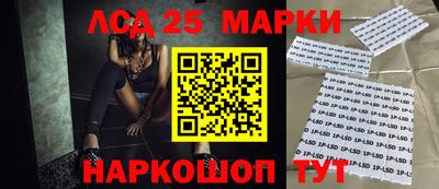 индика Шахты